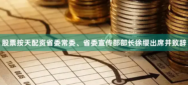 股票按天配资省委常委、省委宣传部部长徐缨出席并致辞