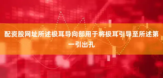 配资股网址所述极耳导向部用于将极耳引导至所述第一引出孔