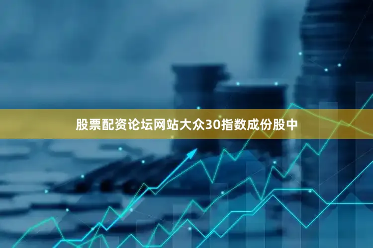 股票配资论坛网站大众30指数成份股中