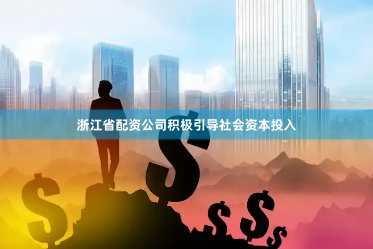 浙江省配资公司积极引导社会资本投入