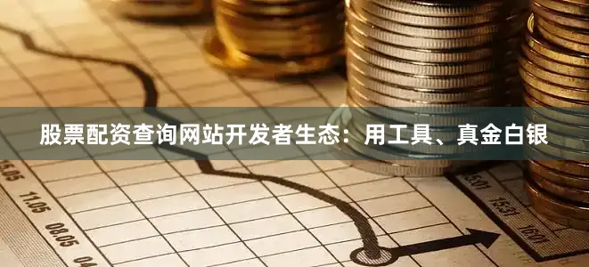股票配资查询网站开发者生态：用工具、真金白银