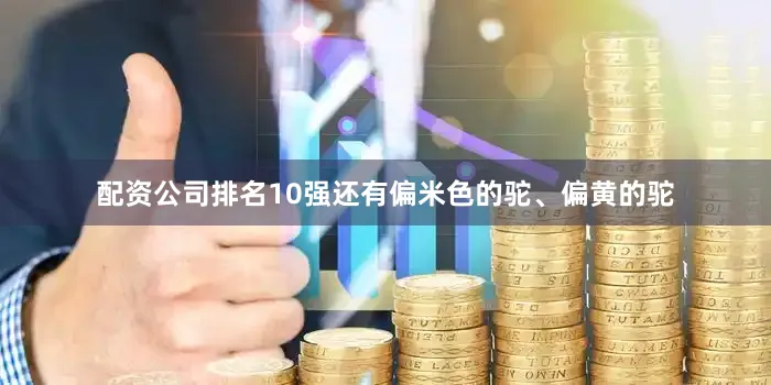配资公司排名10强还有偏米色的驼、偏黄的驼