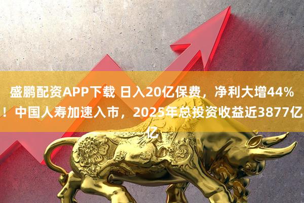 盛鹏配资APP下载 日入20亿保费，净利大增44%！中国人寿加速入市，2025年总投资收益近3877亿