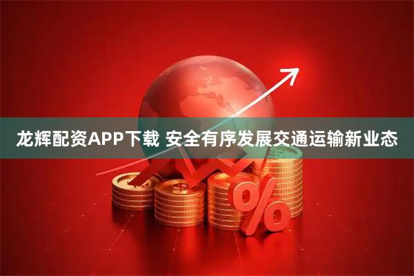 龙辉配资APP下载 安全有序发展交通运输新业态